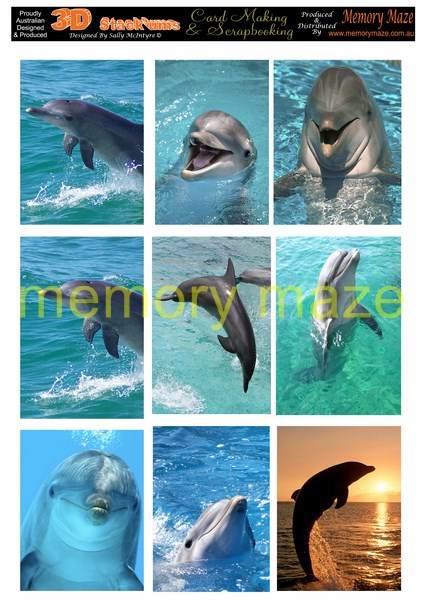 DS0709 DOLPHINS PORTRAIT  min buy 5 cut out with nested dies